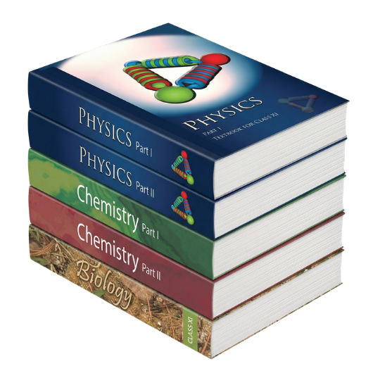 NCERT Textbook Set